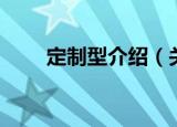 定制型介绍（关于定制型介绍介绍）