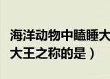 海洋动物中瞌睡大王之称的是（海洋中有瞌睡大王之称的是）