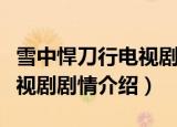 雪中悍刀行电视剧剧情介绍赵（雪中悍刀行电视剧剧情介绍）