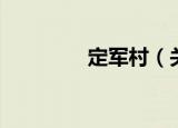 定军村（关于定军村介绍）
