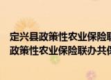定兴县政策性农业保险联办共保工作实施方案（关于定兴县政策性农业保险联办共保工作实施方案介绍）