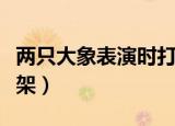 两只大象表演时打架视频（两只大象表演时打架）