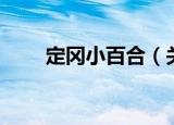 定冈小百合（关于定冈小百合介绍）