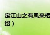 定江山之有凤来栖（关于定江山之有凤来栖介绍）