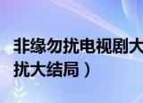 非缘勿扰电视剧大结局是什么（电视剧非缘勿扰大结局）