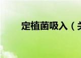 定植菌吸入（关于定植菌吸入介绍）