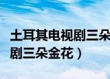 土耳其电视剧三朵金花剧情介绍（土耳其电视剧三朵金花）