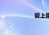 爱上撒哈拉李英爱