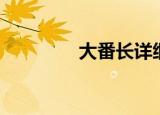 大番长详细攻略（大番长）