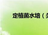 定植菌水培（关于定植菌水培介绍）