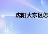 沈阳大东区怎么样（沈阳大东区）