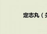 定志丸（关于定志丸介绍）