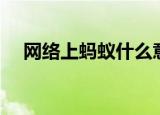 网络上蚂蚁什么意思（网络蚂蚁怎么用）