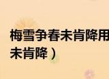 梅雪争春未肯降用了什么修辞手法（梅雪争春未肯降）