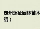 定州永征园林苗木（关于定州永征园林苗木介绍）