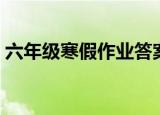 六年级寒假作业答案语文（六年级寒假作业）