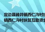 定边县砖井镇西仁沟村扶贫互助资金协会（关于定边县砖井镇西仁沟村扶贫互助资金协会介绍）