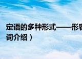 定语的多种形式——形容词（关于定语的多种形式——形容词介绍）