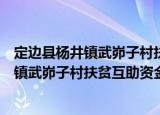 定边县杨井镇武峁子村扶贫互助资金协会（关于定边县杨井镇武峁子村扶贫互助资金协会介绍）