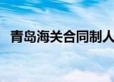 青岛海关合同制人员待遇（青岛海关待遇）