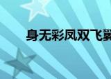 身无彩凤双飞翼?（心无彩凤双飞翼）