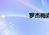 罗杰梅森（罗杰 梅森）