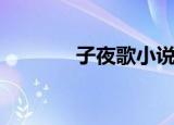 子夜歌小说（子夜夏歌作者）