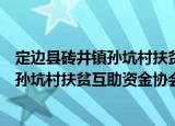 定边县砖井镇孙坑村扶贫互助资金协会（关于定边县砖井镇孙坑村扶贫互助资金协会介绍）