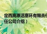 定西高原活塞环有限责任公司（关于定西高原活塞环有限责任公司介绍）