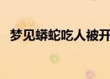 梦见蟒蛇吃人被开膛破肚（梦见蟒蛇吃人）