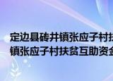 定边县砖井镇张应子村扶贫互助资金协会（关于定边县砖井镇张应子村扶贫互助资金协会介绍）