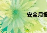 安全月报1（安全月报）