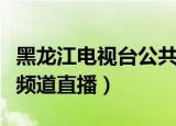 黑龙江电视台公共频道在线直播（黑龙江公共频道直播）