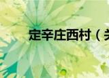 定辛庄西村（关于定辛庄西村介绍）