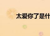 太爱你了是什么意思（太爱你了）