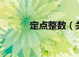 定点整数（关于定点整数介绍）
