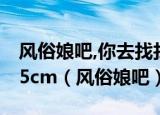 风俗娘吧,你去找找有淦丘的片段就有了,人家5cm（风俗娘吧）