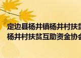 定边县杨井镇杨井村扶贫互助资金协会（关于定边县杨井镇杨井村扶贫互助资金协会介绍）