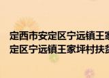 定西市安定区宁远镇王家坪村扶贫互助协会（关于定西市安定区宁远镇王家坪村扶贫互助协会介绍）