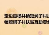 定边县杨井镇短涧子村扶贫互助资金协会（关于定边县杨井镇短涧子村扶贫互助资金协会介绍）