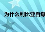 为什么利比亚自爆卡车（利比亚自爆卡车）