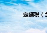 定额税（关于定额税介绍）