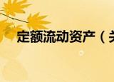 定额流动资产（关于定额流动资产介绍）