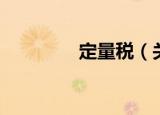 定量税（关于定量税介绍）