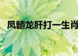 凤髓龙肝打一生肖（龙肝凤髓是什么生肖）