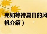 宛如等待夏日的风帆（关于宛如等待夏日的风帆介绍）