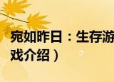 宛如昨日：生存游戏（关于宛如昨日：生存游戏介绍）