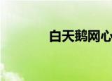 白天鹅网心水论（白天鹅网）