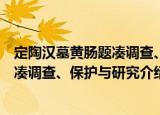 定陶汉墓黄肠题凑调查、保护与研究（关于定陶汉墓黄肠题凑调查、保护与研究介绍）