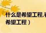 什么是希望工程,春蕾计划,救孤计划（什么是希望工程）